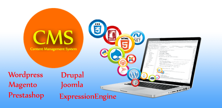  CMS Web development Services 